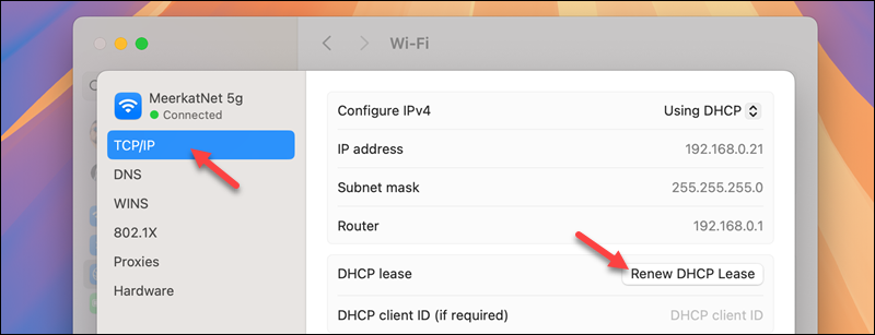 Renewing DHCP lease in macOS.