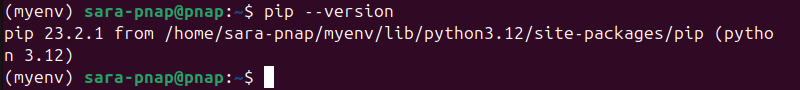 terminal output for myenv pip --version