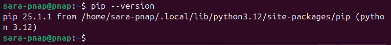 terminal output for pip --version