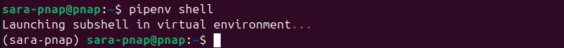 terminal output for pipenv shell