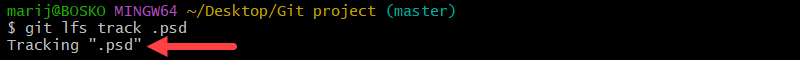 Instructing Git LFS which files to track.