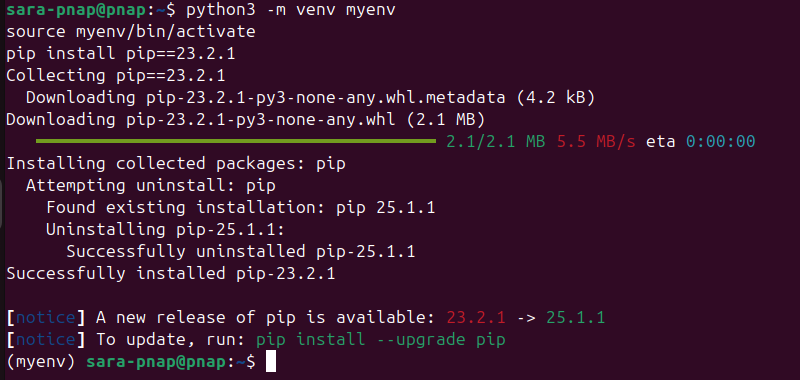 Use virtual environment to downgrade pip terminal output