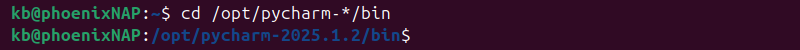 cd pycharm /opt/bin directory terminal