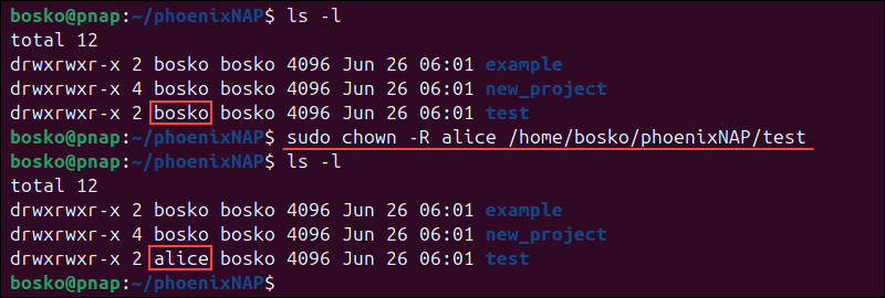 Changing the ownership of a directory recursively.