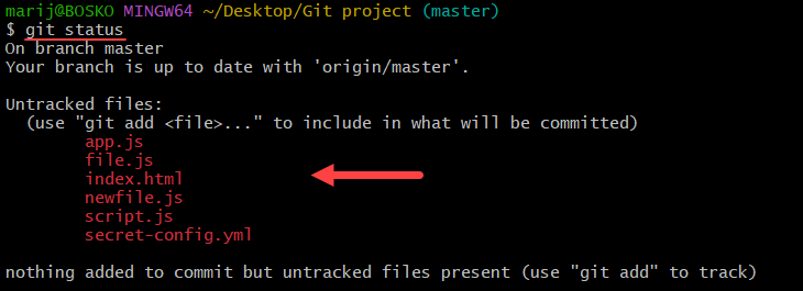 Checking the repository status for untracked and edited files.