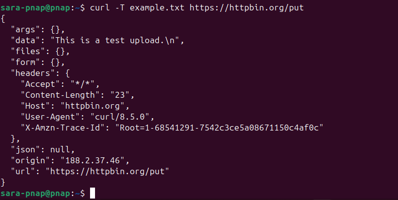 curl -T example.txt https://httpbin.org/put terminal output