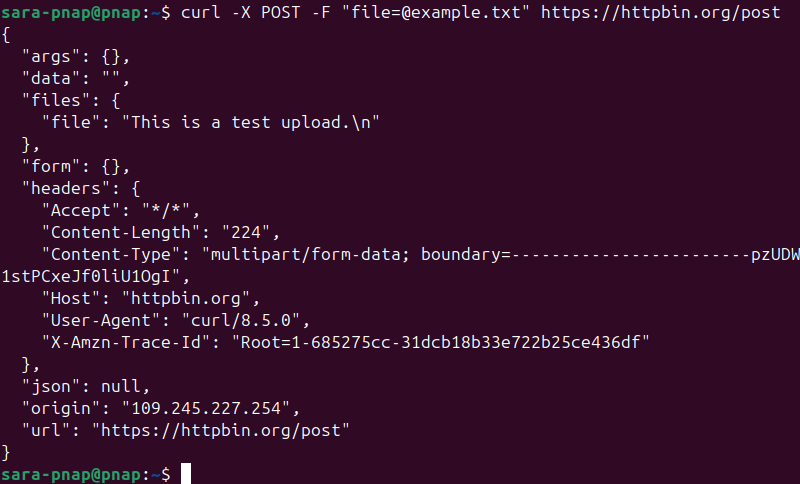 curl -X POST -F "file=@example.txt" https://httpbin.org/post terminal output