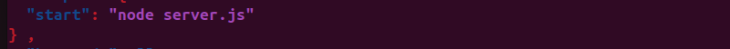 Edit the package.json file  terminal output