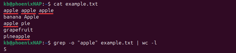 grep -o wc -l terminal output