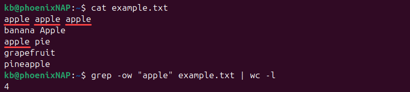 grep -ow wc -l terminal output