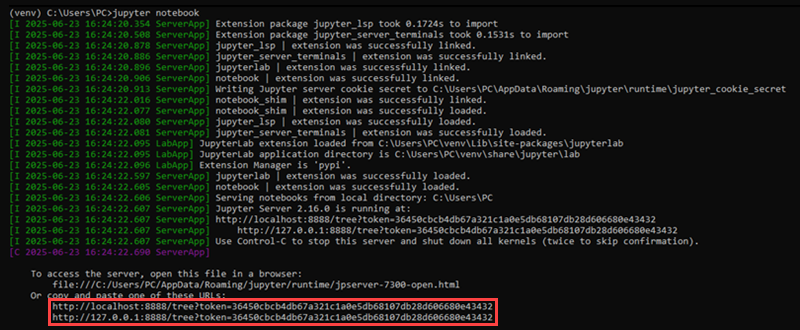 jupyter notebook CMD output