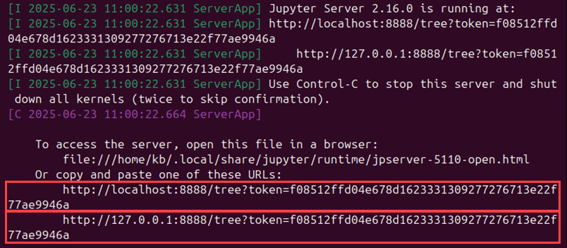 Jupyter Notebook URLs terminal output