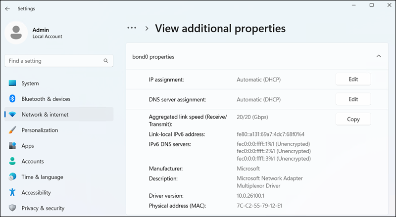 Viewing additional properties for an interface in Windows Server.