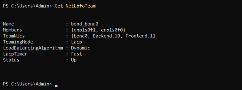 A list of all NIC teams configured on the system.