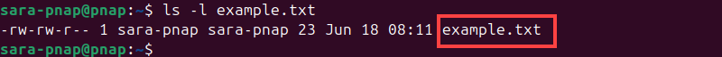 ls -l example.txt terminal output