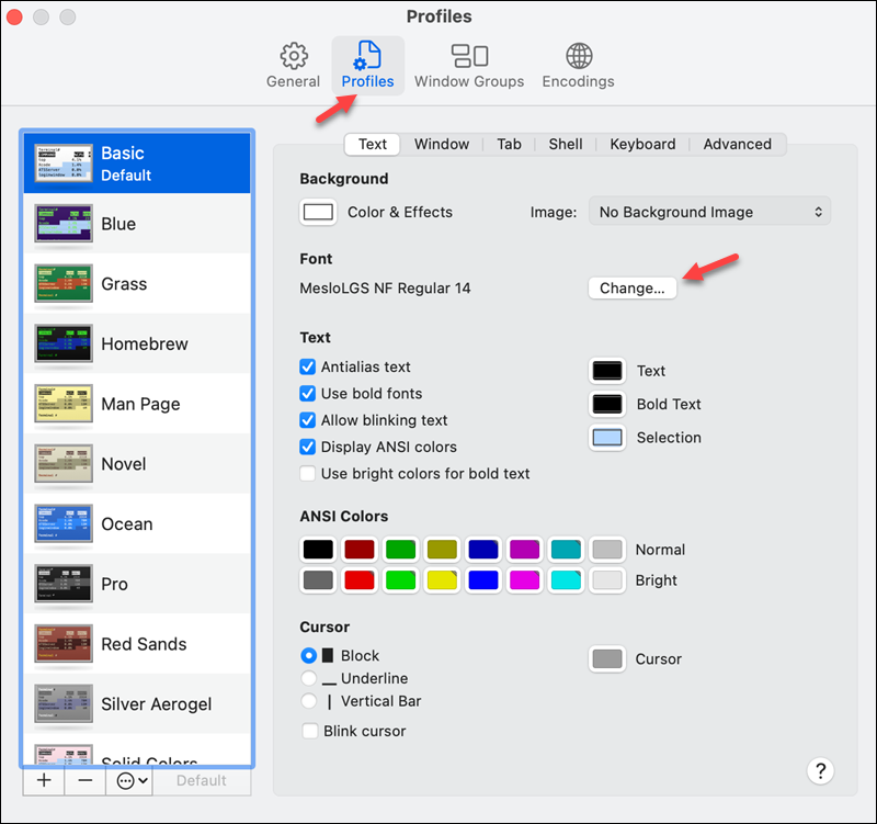 Mac terminal preferences font MesloLGS NF