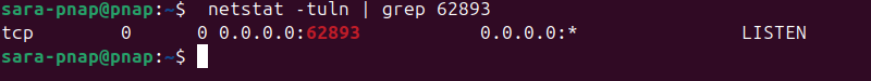 netstat -tuln | grep 62893 terminal output