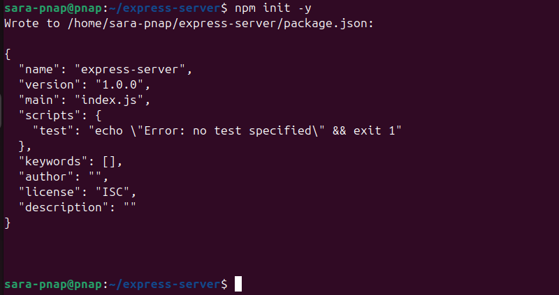 npm init -y terminal output