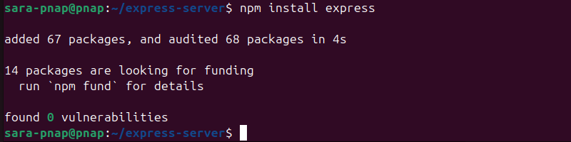 npm install express terminal output