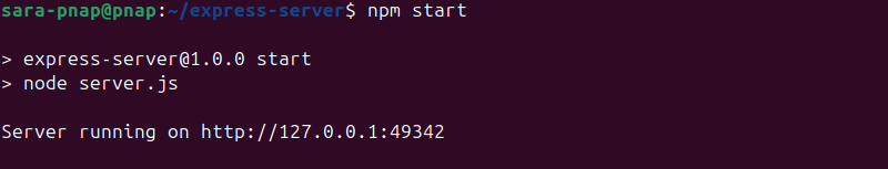 npm start terminal output