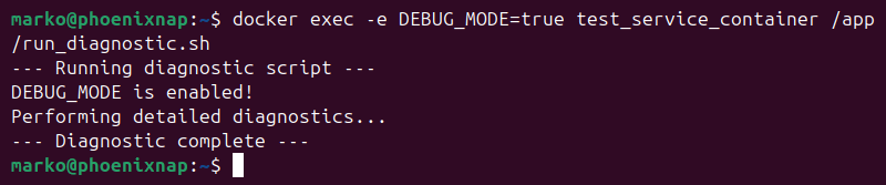 Running a script in a container using docker exec.