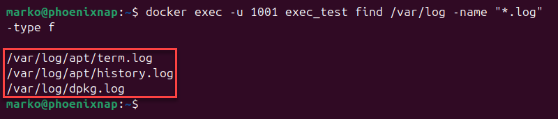 Searching for files in a container using docker exec.