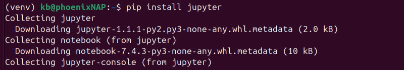 pip install jupyter terminal output