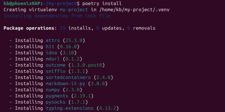Python Poetry Guide for Beginners