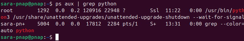 ps aux | grep python terminal output