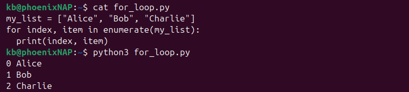Python for loop enumerate() output