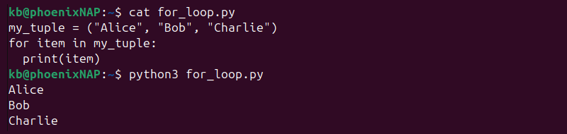 Python for loop tuple output