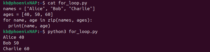 Python for loop zip() output