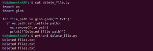 How to Delete a File in Python | phoenixNAP KB
