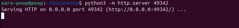 python3 -m http.server 49342 terminal output