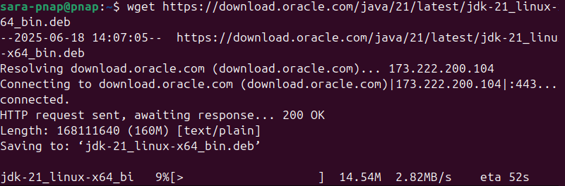 Resuming interrupted downloads with wget terminal output