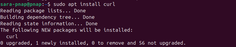 sudo apt install curl terminal output