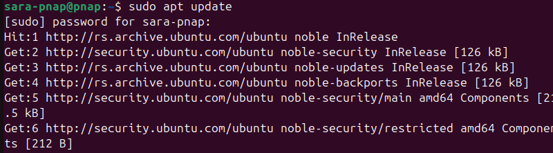 sudo apt update terminal output