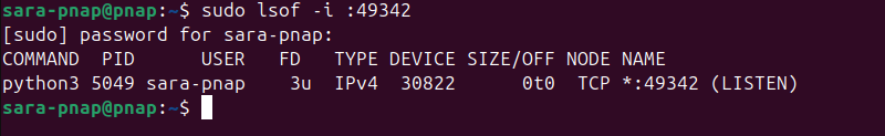 sudo lsof -i :49342 terminal output