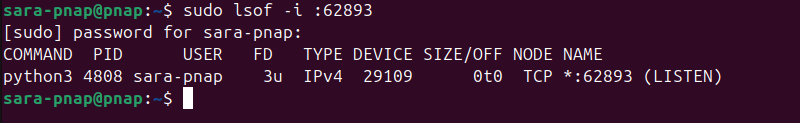 sudo lsof -i :62893  terminal output