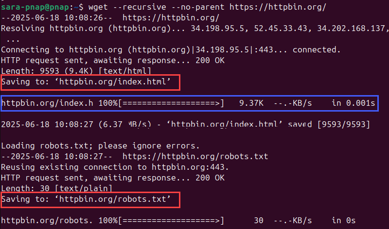 Terminal output for wget --recursive --no-parent https://httpbin.org/ 