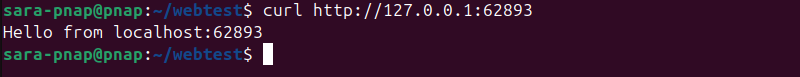 terminal curl http://127.0.0.1:62893output for 