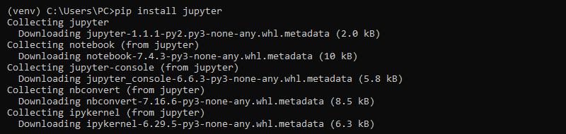 venv CMD pip install jupyter output