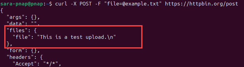 Verify the outcome terminal output