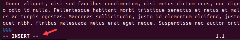 Vim in Insert mode.