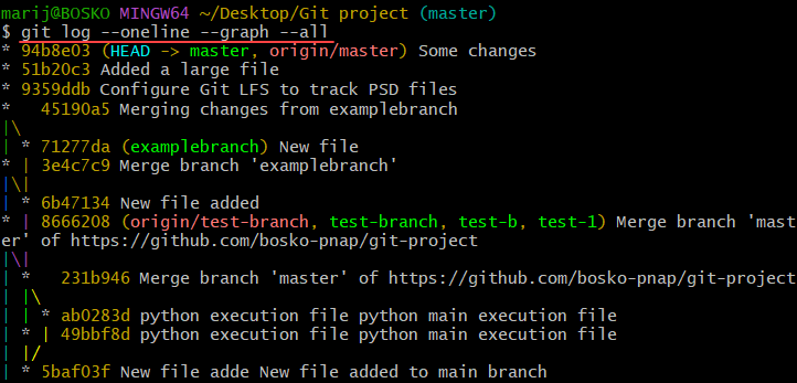 Visualizing a Git repository history.