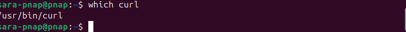 which curl terminal output