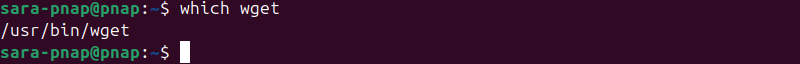 which wget terminal output