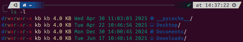 Zsh lsd