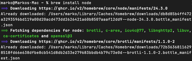 brew install node terminal output