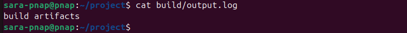 cat build/output.log terminal output